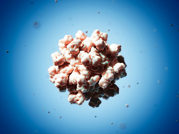 Hepatitis-E-virus-particle-artwork